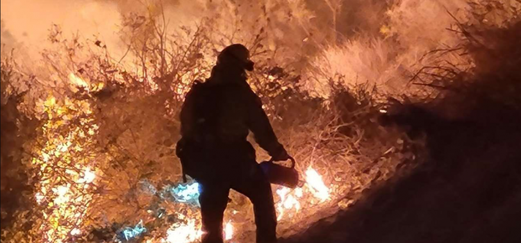 Incendio forestal en Indio, CAL FIRE pelea por contenerlo