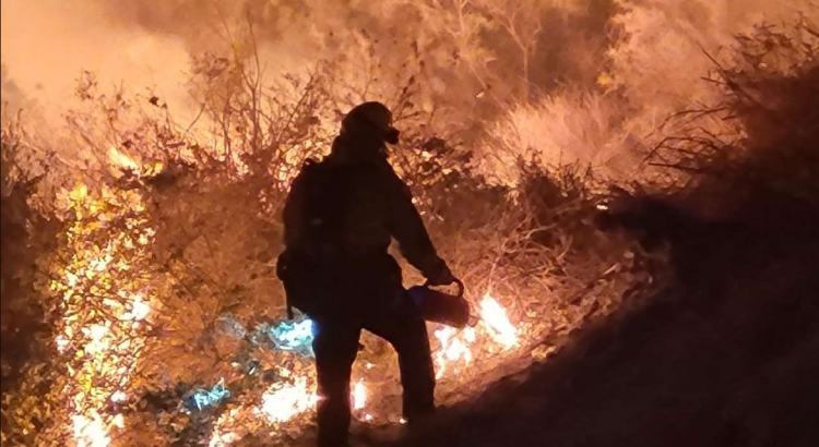 Incendio forestal en Indio, CAL FIRE pelea por contenerlo