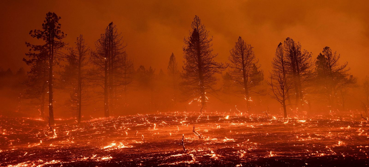 Evacúan a miles de personas en California debido a incendio fuera de control