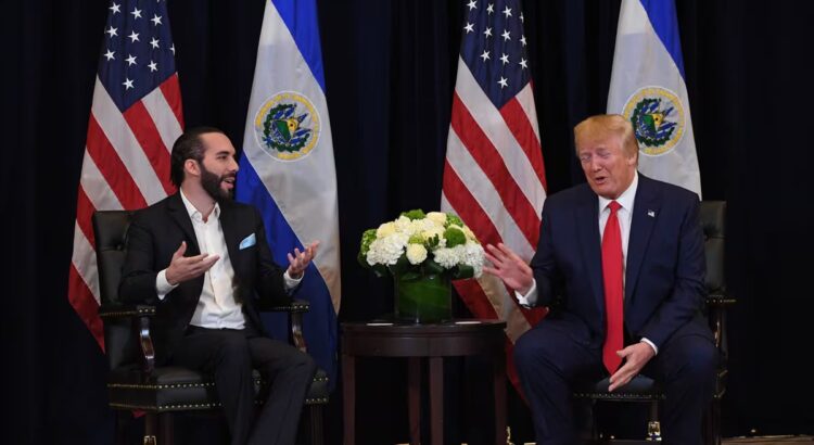 Trump discute con Bukele sobre la lucha contra la inmigración ilegal y el Tren de Aragua