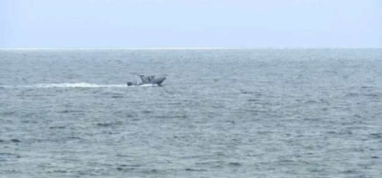 Mueren seis personas al estrellarse una avioneta frente a la costa de San Diego Mueren seis personas al estrellarse una avioneta frente a la costa de San Diego