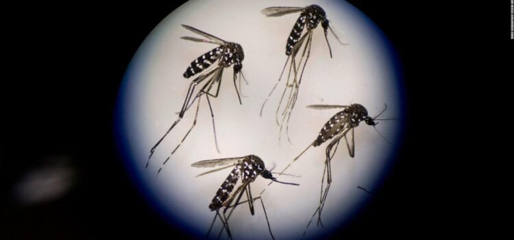 Se liberan mosquitos en Lake Elsinore como parte de un programa experimental