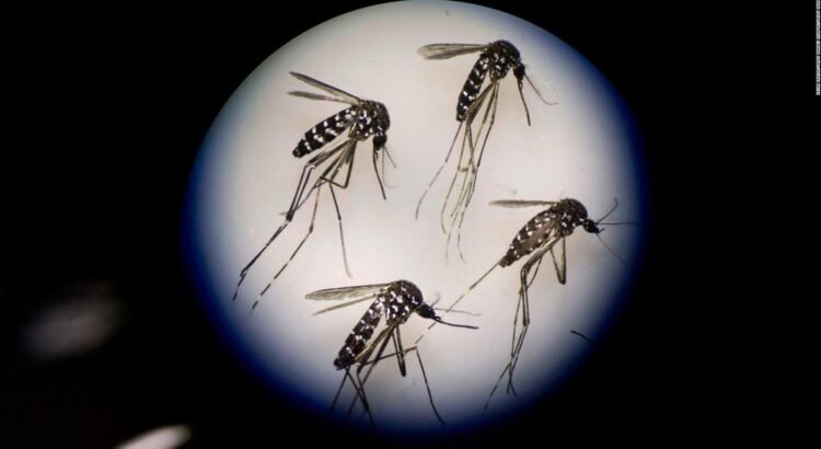 Se liberan mosquitos en Lake Elsinore como parte de un programa experimental