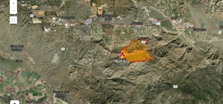 El mapa del incendio Wolf en California muestra dónde se extendió el fuego durante la noche