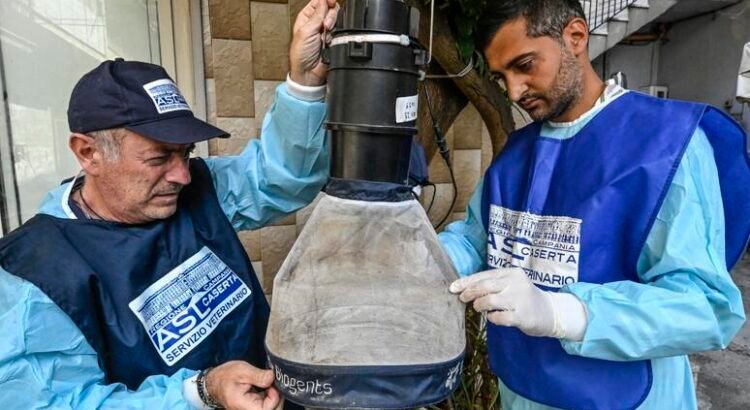 Italia suma cinco nuevas muertes por el virus del Nilo Occidental Italia suma cinco nuevas muertes por el virus del Nilo Occidental