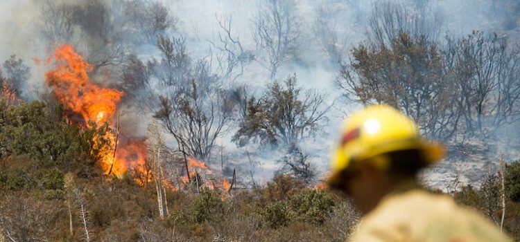 Ola de calor en el sur de California eleva peligro de incendios