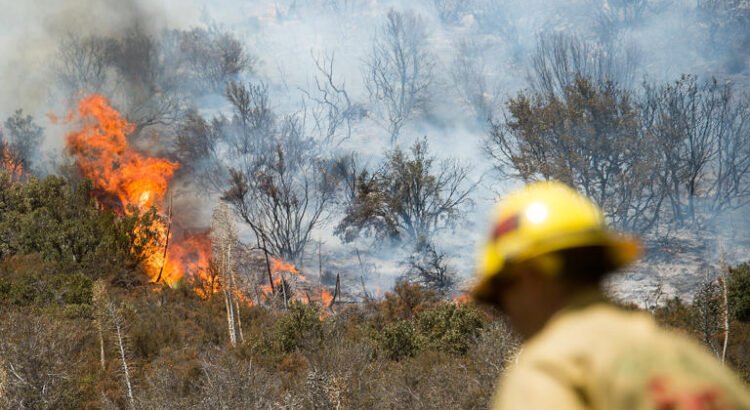 Ola de calor en el sur de California eleva peligro de incendios
