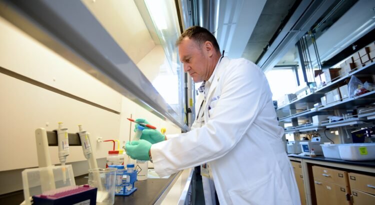 Una startup de UC Riverside obtiene una subvención para impulsar la terapia contra el cáncer