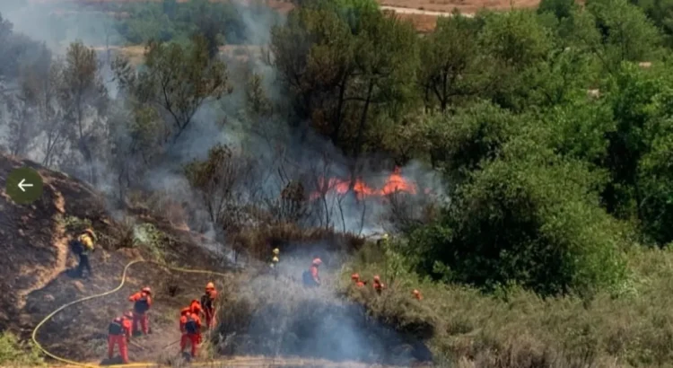 Bomberos combaten incendio forestal en el lecho del río Santa Ana